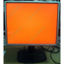 Монитор 19" TFT HP 1955 (DVI в Сургуте, USB-хаб) "квадратный" (Сургут)