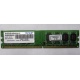 Модуль оперативной памяти 4Gb DDR2 Patriot PSD24G8002 pc-6400 (800MHz)  (Сургут)