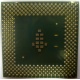 Процессор Intel Celeron 1000A SL5ZF (1000MHz /256kb /100MHz /1.475 V) s370 (Сургут)