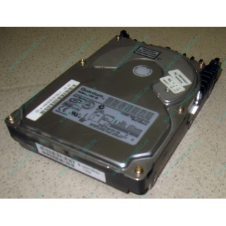 Жесткий диск 18.4Gb Quantum Atlas 10K III U160 SCSI (Сургут)