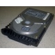 Жесткий диск 18.4Gb Quantum Atlas 10K III U160 SCSI (Сургут)