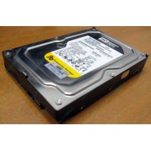 Жесткий диск 160Gb WD WD1602ABKS SATA (Сургут)