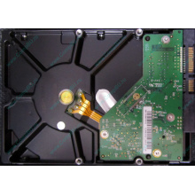 Б/У жёсткий диск 1Tb Western Digital WD10EVVS Green (WD AV-GP 1000 GB) 5400 rpm SATA (Сургут)