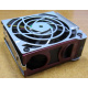 HP 224977 (224978-001) for Proliant ML370 G2/G3/G4 (Сургут).