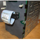 HP 365664-001 кабель SCSI для корзины 373108-001 / 359719-001 HP ML370G4 (Сургут)