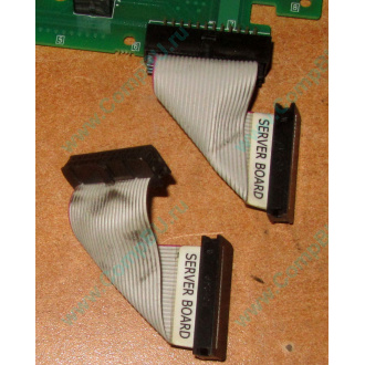 6017B0045701 Шлейф 24 pin для Intel C74974-401 T0043401-B01 корпуса SR2400 (Сургут)