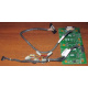 Корзина 59P5159 24P2578 IBM X225 / X226 / X235 / X255 / X266 xSeries servers FRU59P5159 FRU24P2578 (Сургут)