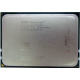 AMD Opteron 6128 OS6128WKT8EGO (Сургут)