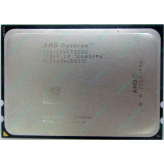 AMD Opteron 6128 OS6128WKT8EGO (Сургут)